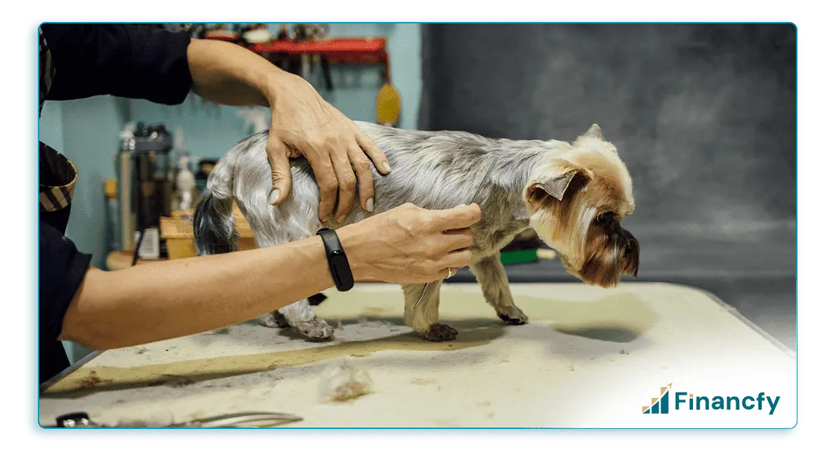Pet Care Grooming Service
