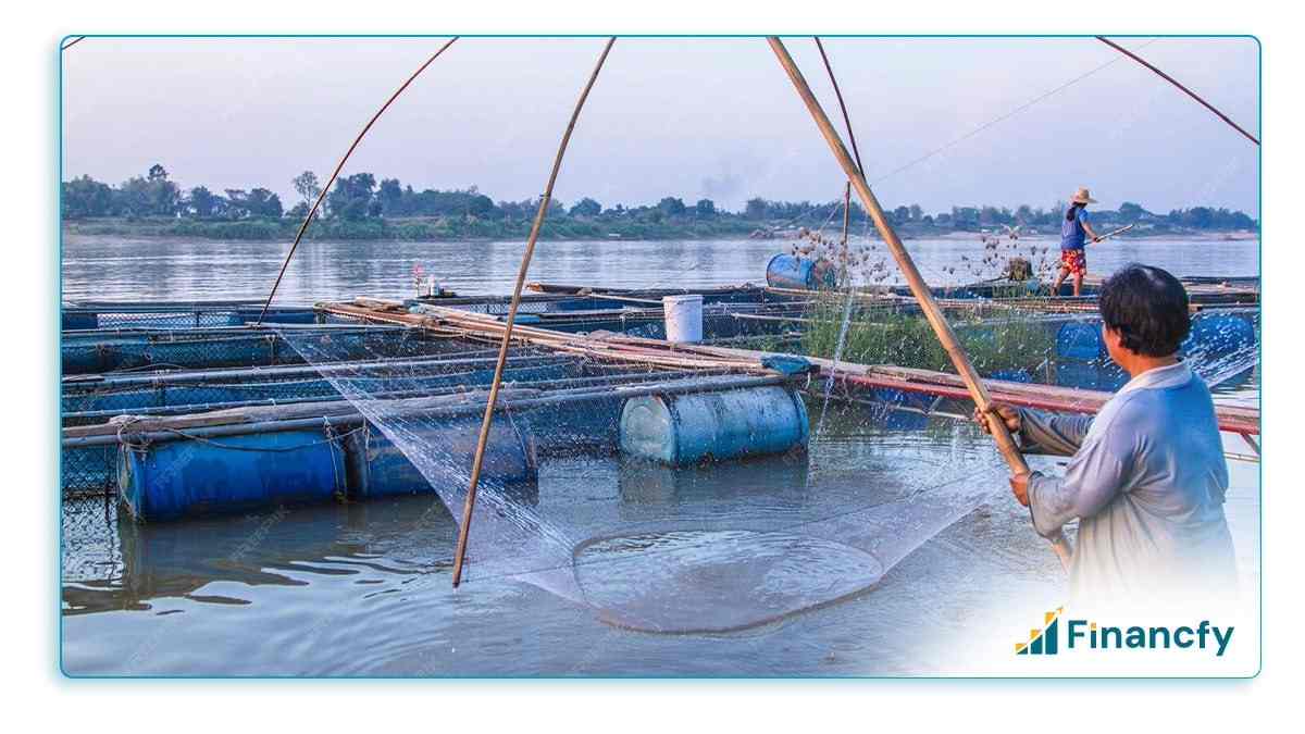 Fish Farming